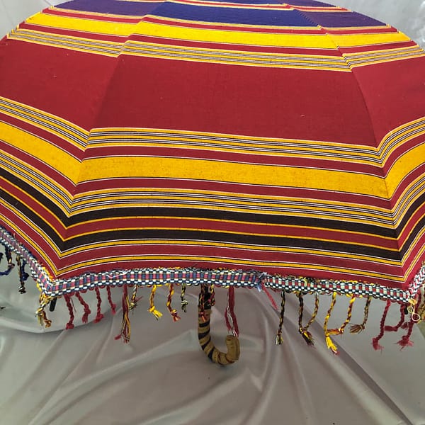 Mwavuli ( parapluie)